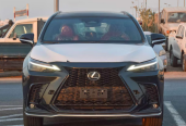 Lexus NX 350 Other