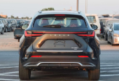 Lexus NX 350 Other