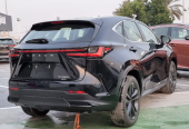 Lexus NX 350H Other