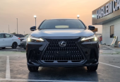 Lexus NX 350H Other