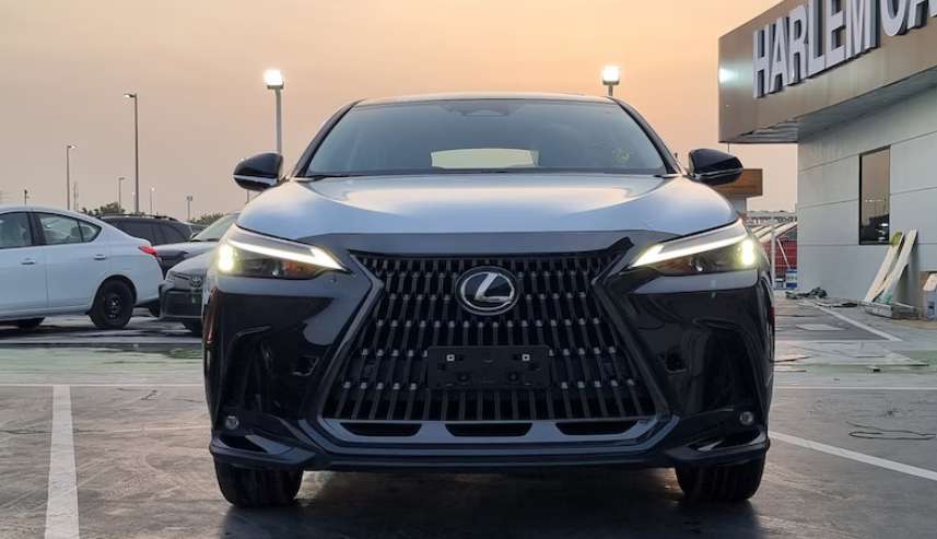 Lexus NX 350H Other