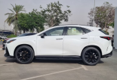 Lexus NX 350 Other