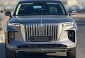 Hongqi E-HS9 Flagship