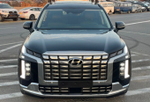 Hyundai Palisade Other