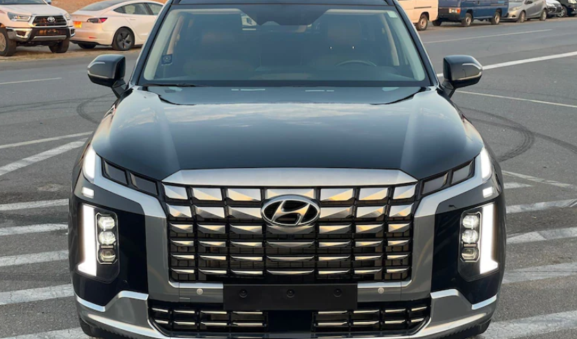 Hyundai Palisade Other