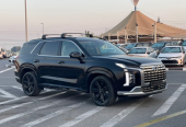 Hyundai Palisade Other