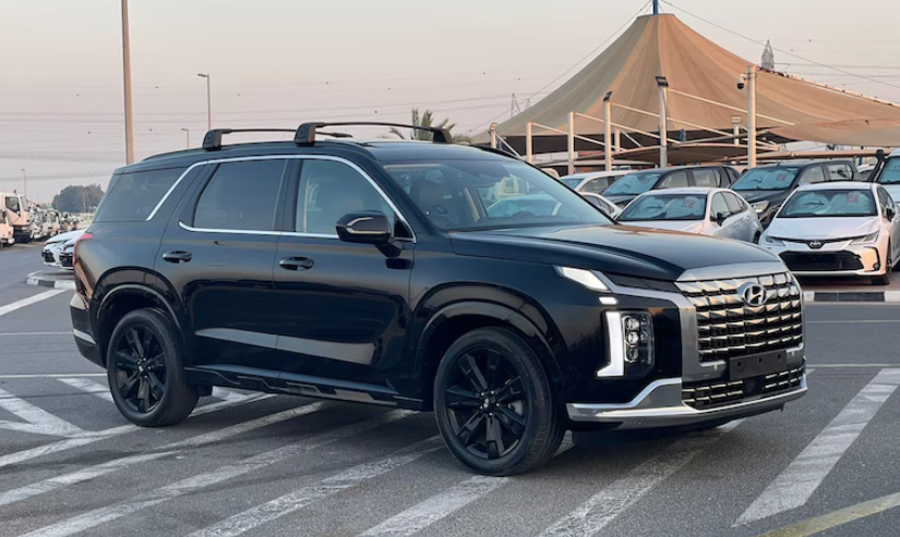 Hyundai Palisade Other