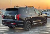 Hyundai Palisade Other