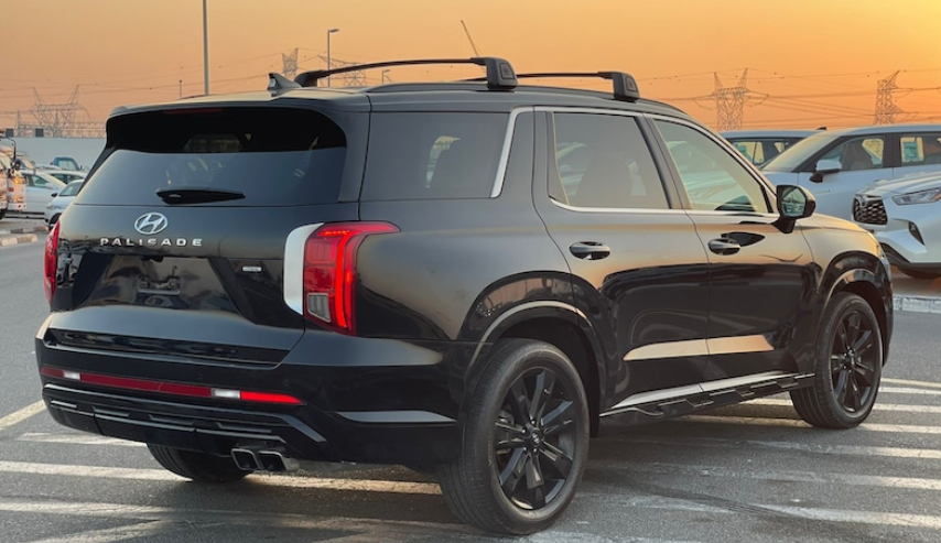 Hyundai Palisade Other