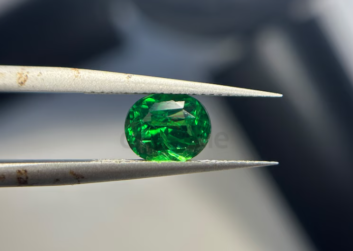 Tsavorite vivid green 1.08 cts