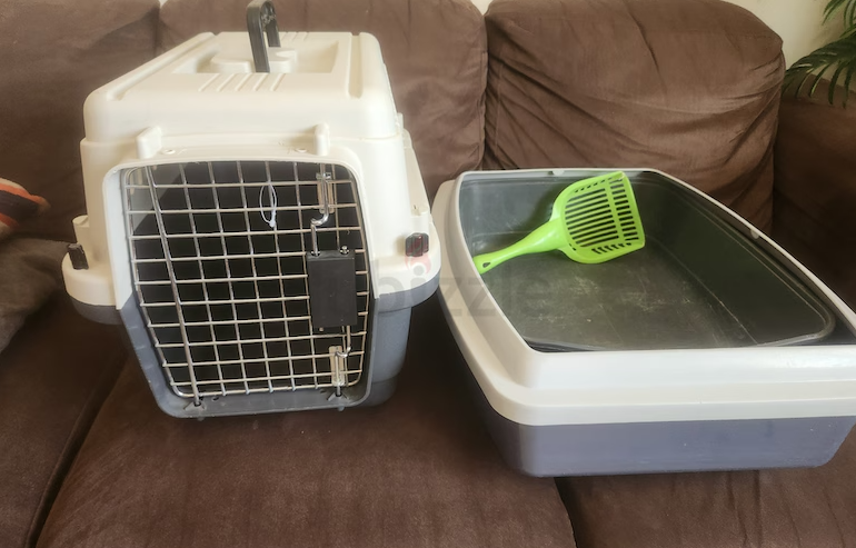 Cats carriers with free litter box