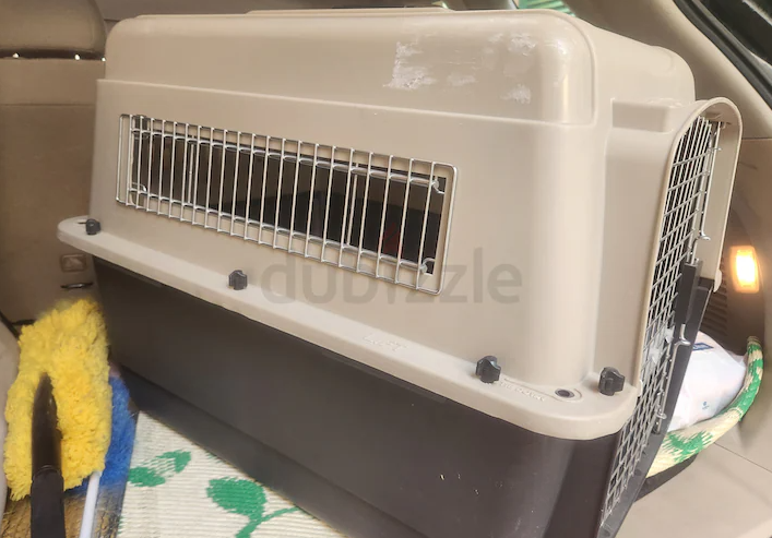 Cats carriers with free litter box