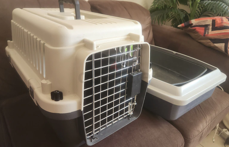 Cats carriers with free litter box