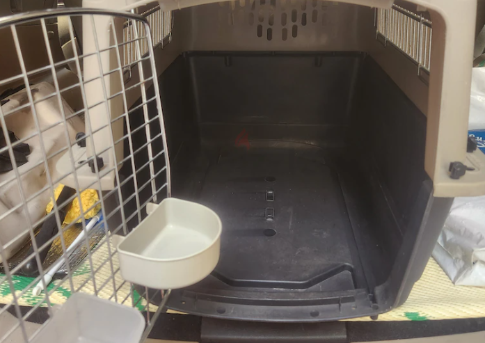 Cats carriers with free litter box