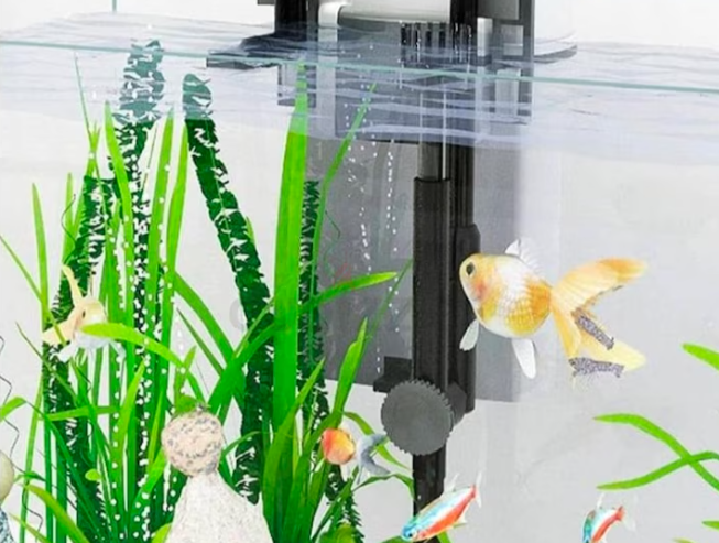 Fish tank for sale with xbl hangon filter