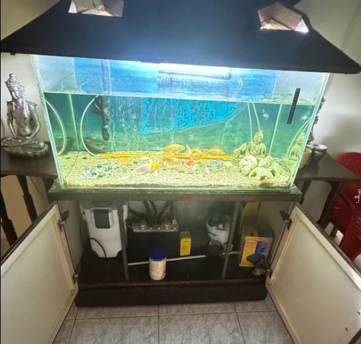 Aquarium for Sale