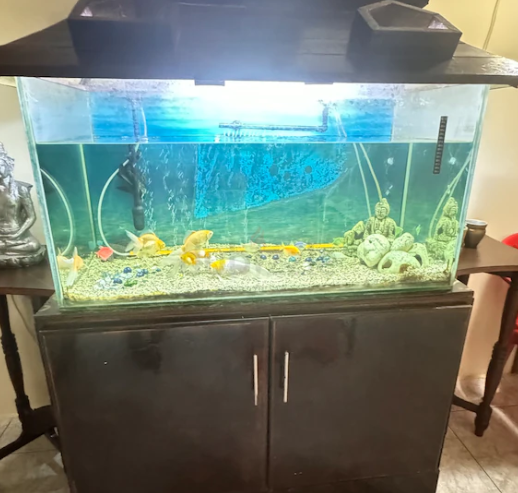 Aquarium for Sale