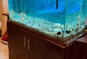 Aquarium for Sale