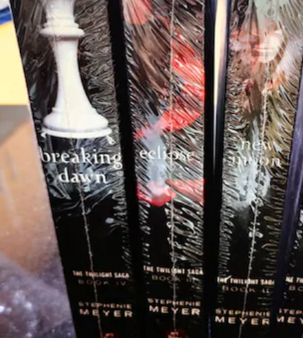 Twilight collection 4 books