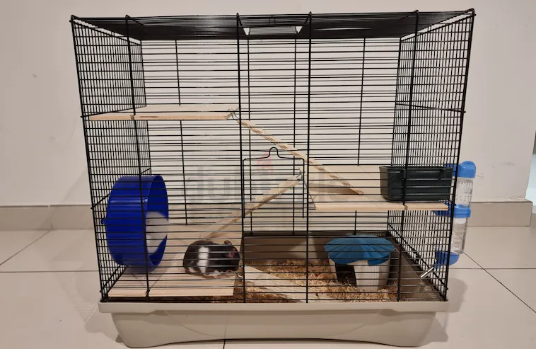 Hamster Cage for sale