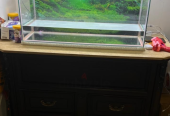 Aquarium for Sale Size: 80 x 32 x 45 cm