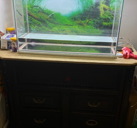 Aquarium for Sale Size: 80 x 32 x 45 cm