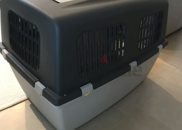 Dogs carriers for air travel