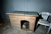 Dog house – crate