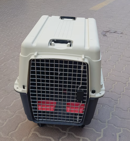 Dogs carriers for air travel