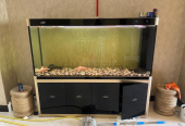 Selling Premium quality Kakei Aquarium