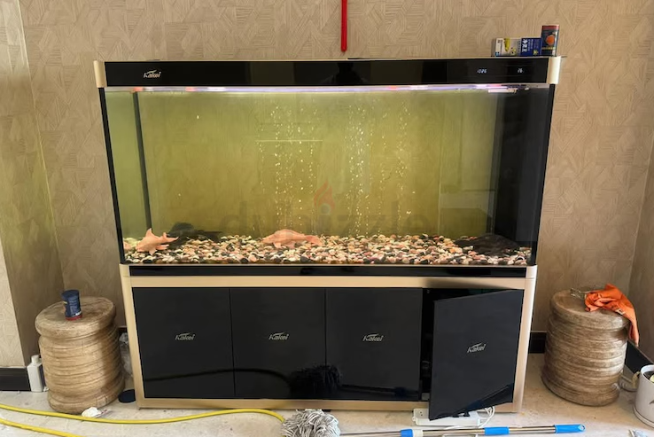 Selling Premium quality Kakei Aquarium