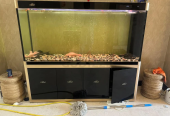 Selling Premium quality Kakei Aquarium