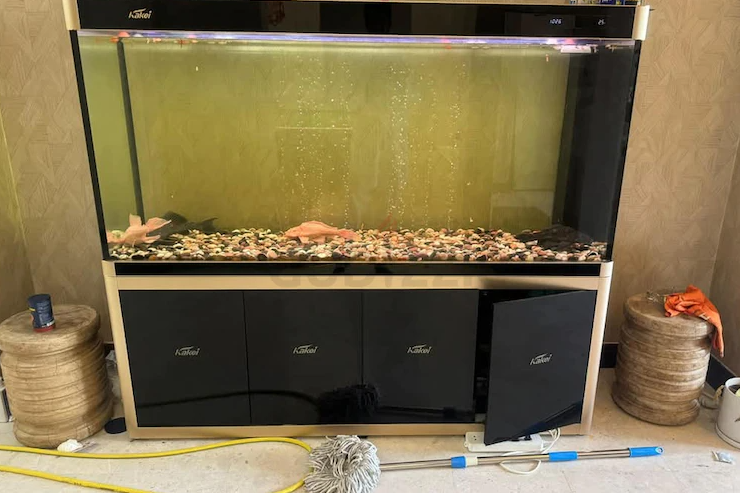 Selling Premium quality Kakei Aquarium