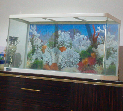 Aquarium