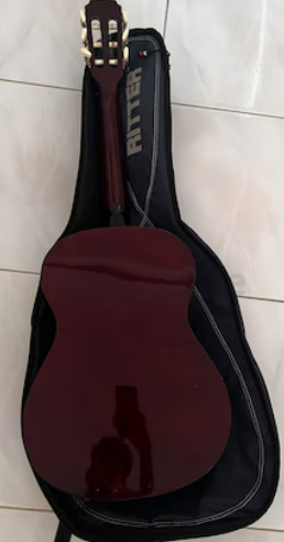 Aria acoustic guitar