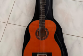 Aria acoustic guitar