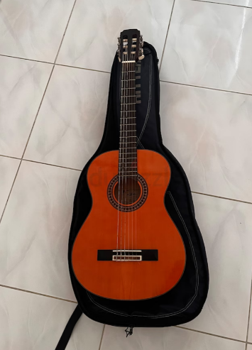 Aria acoustic guitar