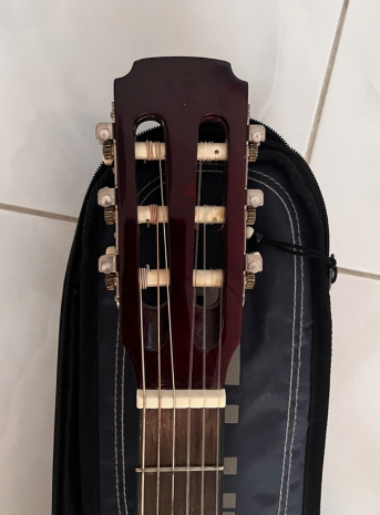 Aria acoustic guitar