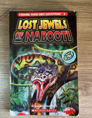 Choose Your Own Adventure: Lost Jewels of Nabooti