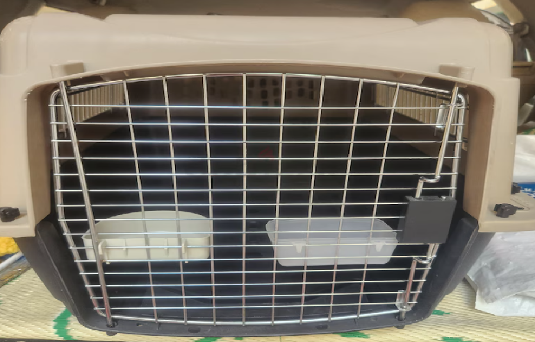 Cats carriers with free litter box