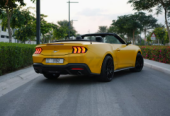 Ford Mustang Ecoboost Premium