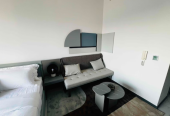 Fully furnished luxury apartment // Brand New // Ready to move