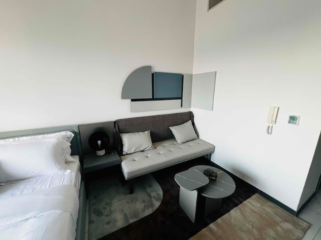 Fully furnished luxury apartment // Brand New // Ready to move