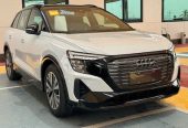 Audi e-tron Other