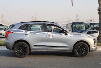 Haval Jolion Luxury