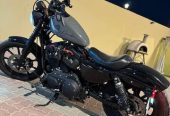 Harley Davidson iron 1200 ,2019