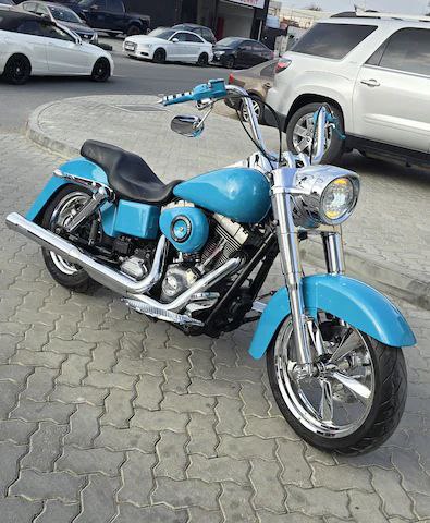 Harley Davidson Dyna Swtichback custom