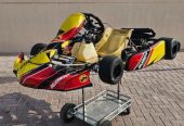 125cc Rotax CRG