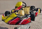 125cc Rotax CRG