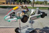 Tonykart with 60cc Engine (for kids aged 7 to 12yrd old)